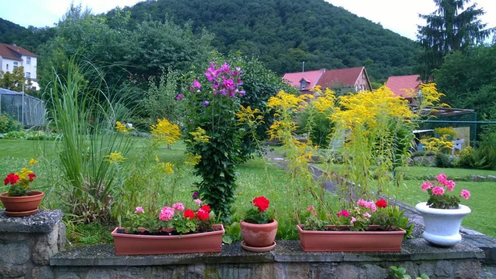Ferienwohnung Bergblick - Inklusive Bodetal Therme Thale Kültér fotó